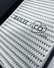 Load image into Gallery viewer, 6D 0.05 Promade Fans - 600 Fans - C Curl