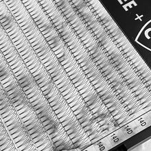 Load image into Gallery viewer, 3D Super-Dark Short Stem Premade Volume MEGA Tray - D Curl 0.07